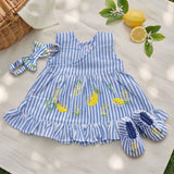 Baby Girl Embroidered Blue and White Wrap Dress and Accessories Set - Lemons and Leaves