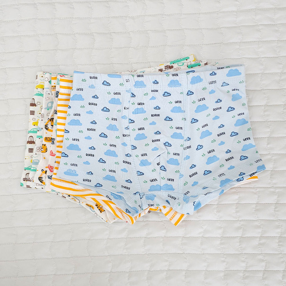 Boys Boxer Briefs - Pack of 6