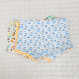 Boys Boxer Briefs - Pack of 6