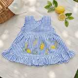 Baby Girl Embroidered Blue and White Wrap Dress and Accessories Set - Lemons and Leaves
