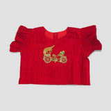 Girls Handloom Raw Silk Embroidered Red and Aqua Green Choli Lehenga Set - Golden Carriage