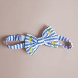 Baby Girl Embroidered Blue and White Wrap Dress and Accessories Set - Lemons and Leaves