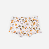 Boys Boxer Briefs - Pack of 6