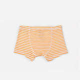 Boys Boxer Briefs - Pack of 6